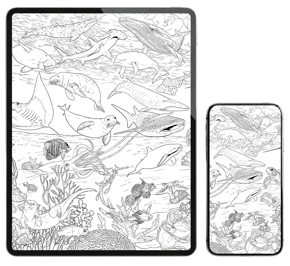 The Ocean Colour Roll artwork on a tablet - interactive learning experience